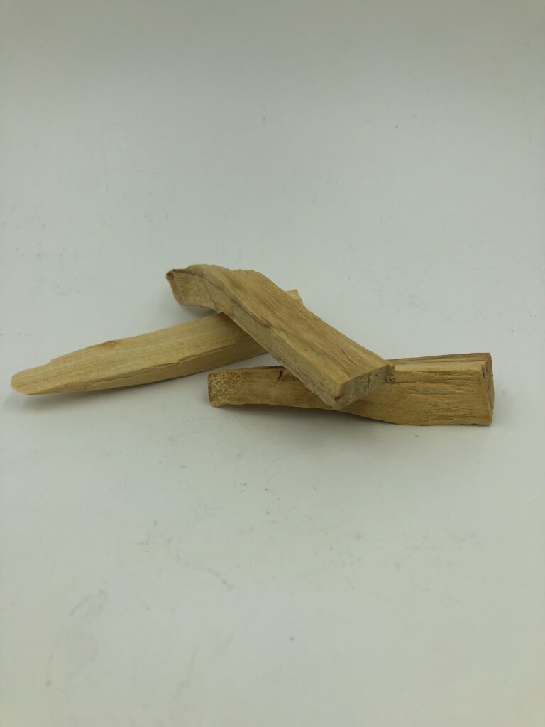 Palo Santo Botánica Poder y Vida